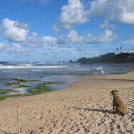 Round House Hotel Bathsheba Екстериор снимка